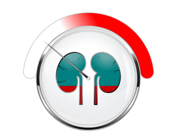 IgA nephropathy early stage icon