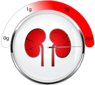 High proteinuria icon