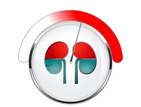 IgA nephropathy mid stage icon