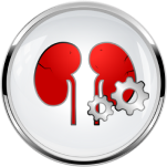 Renal insufficiency icon