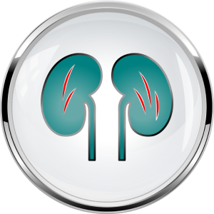 Kidney damage icon