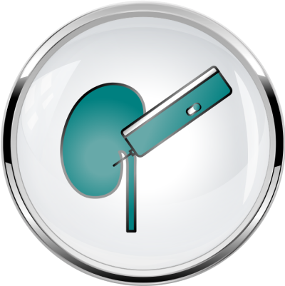 Kidney biopsy icon