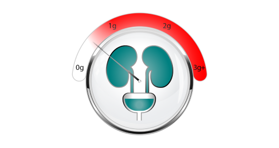 Proteinuria icon