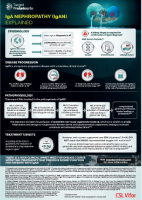 IgA Nephropathy (IgAN) Disease Backgrounder